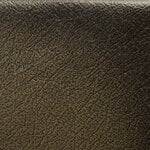 Antique Olive