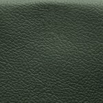 Modern Forest Green