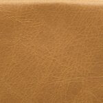 Heritage Buckskin