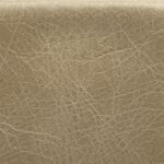 Heritage Parchment