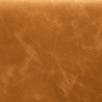 Distressed Fawn