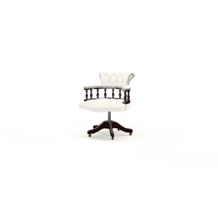 Captain's Swivel