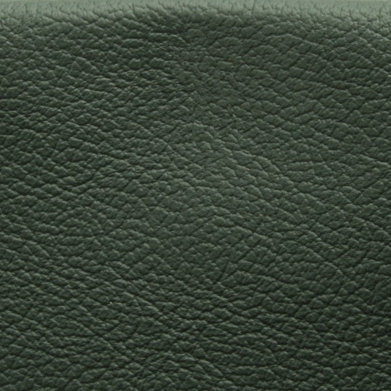 Modern Forest Green