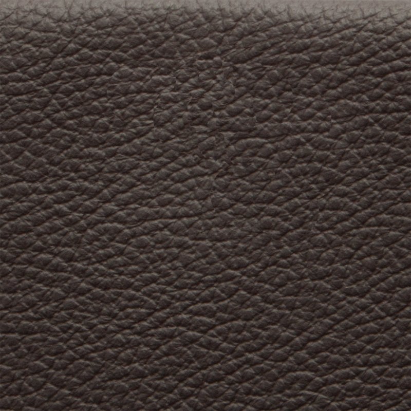 Modern Brown