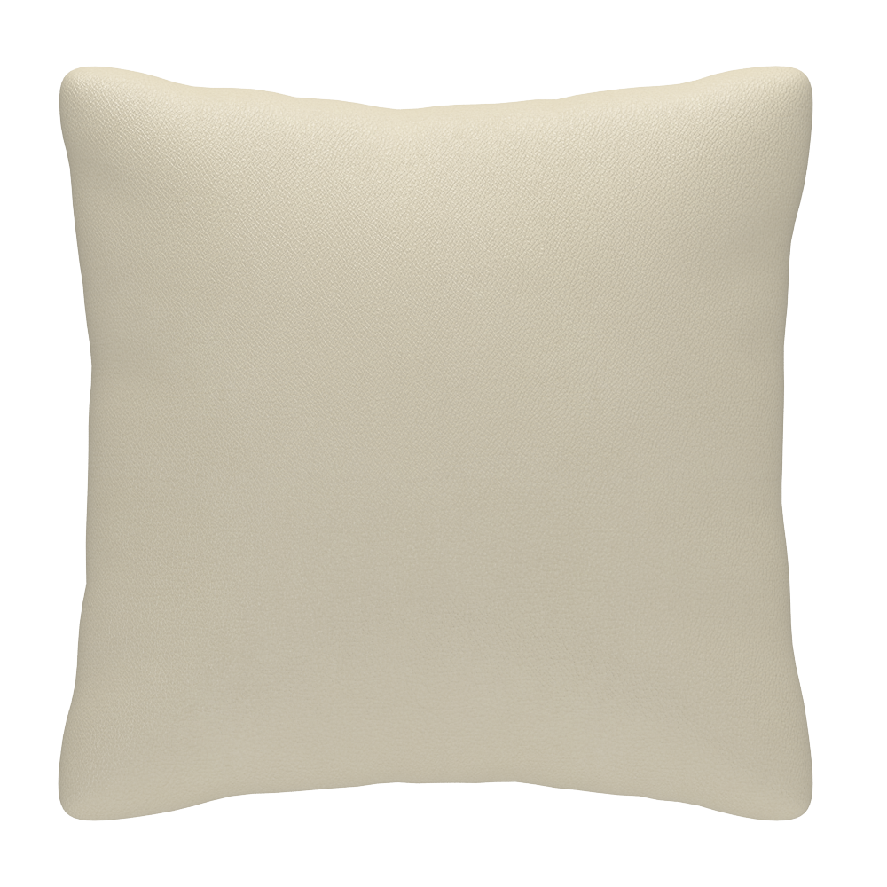 Scatter Cushion