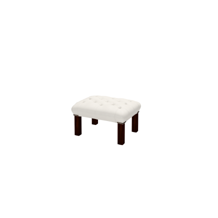 Georgian Footstool