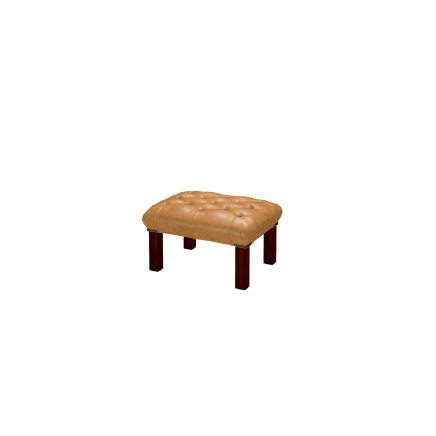Georgian Footstool