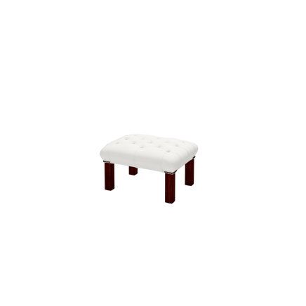 Georgian Footstool
